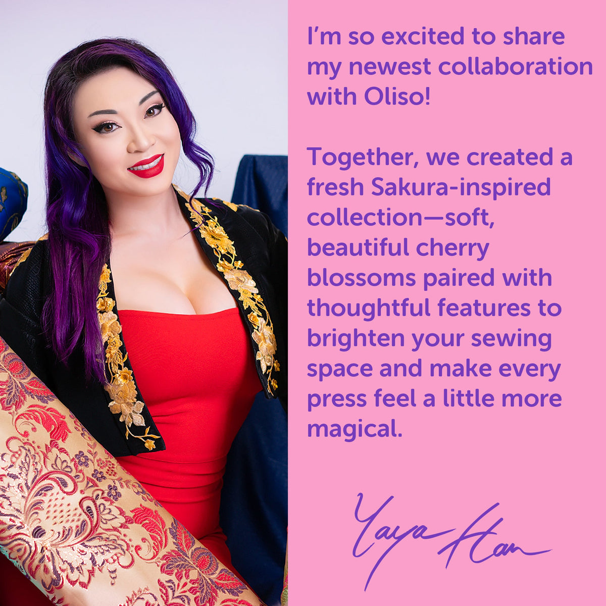 Oliso – Yaya Han M3Pro Iron Carry Bag